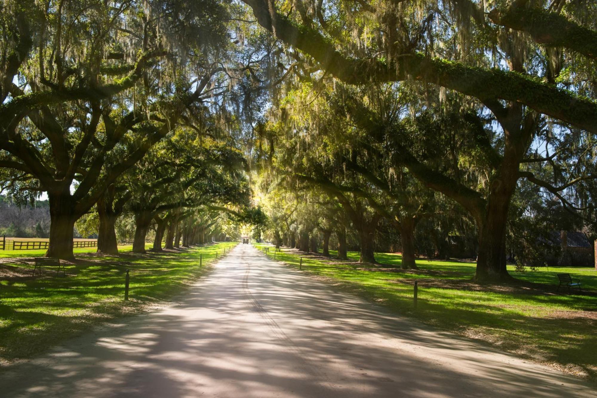 442 Oceanwoods Kiawah Island