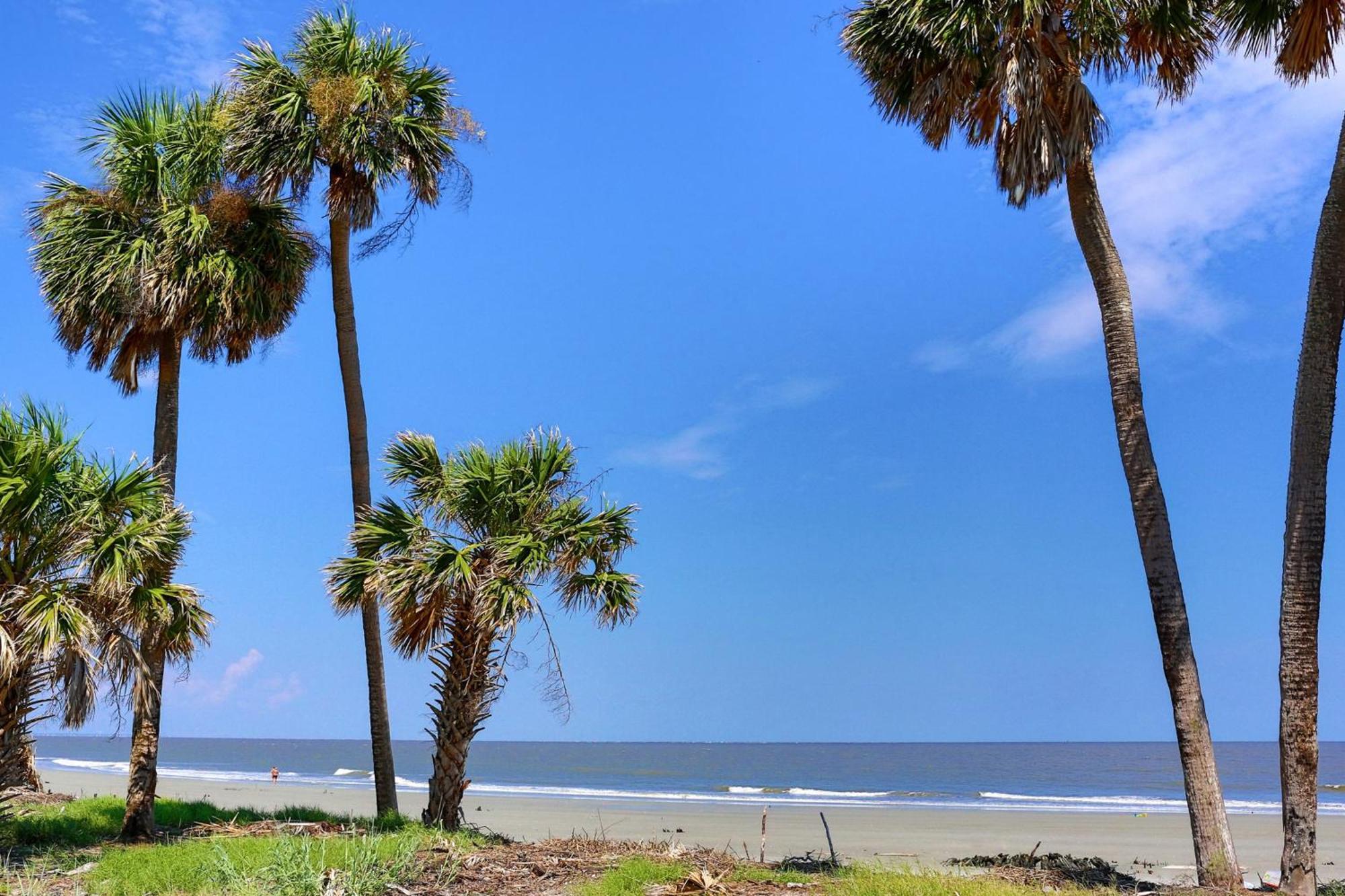 442 Oceanwoods